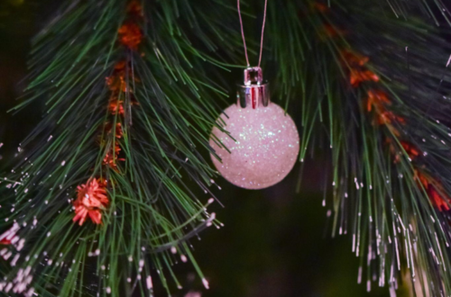 Christmas Tree Sale at the Mall: Find Your Perfect Tree and More!