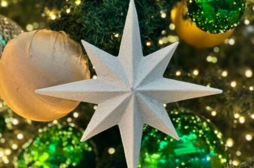 Choosing the Perfect Christmas Tree for Your Family