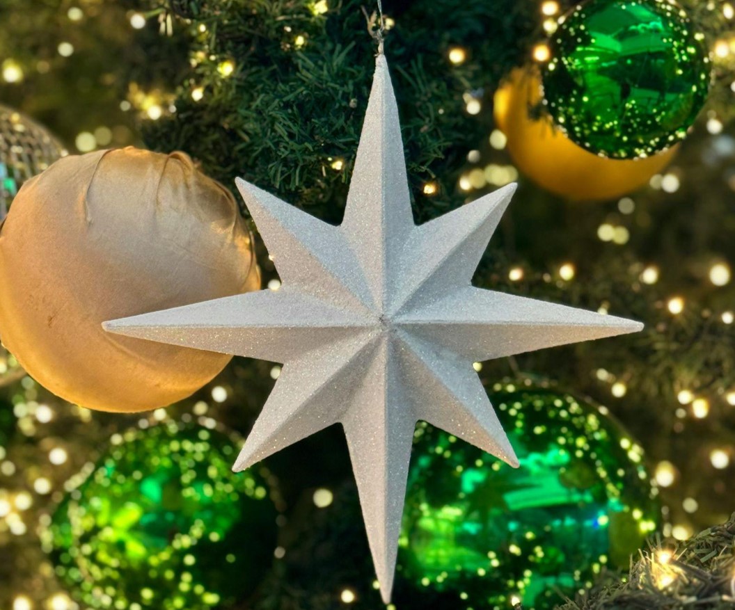 Choosing the Perfect Christmas Tree for Your Family